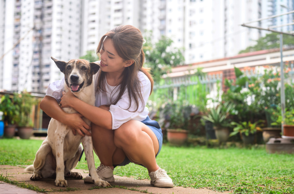 Vacante disponible para cuidadores de mascotas